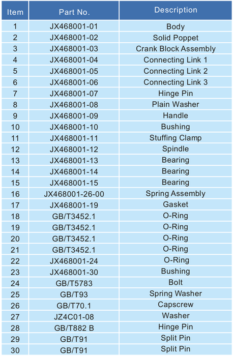 3   45 Swing Footvalve 4