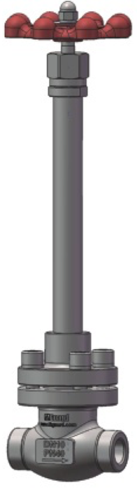 Cryogenic Globe Valve