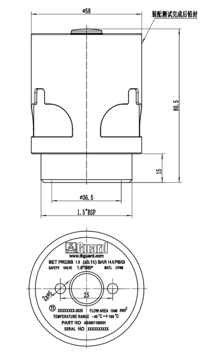 Prussure Relief Valve 1.0 Bar